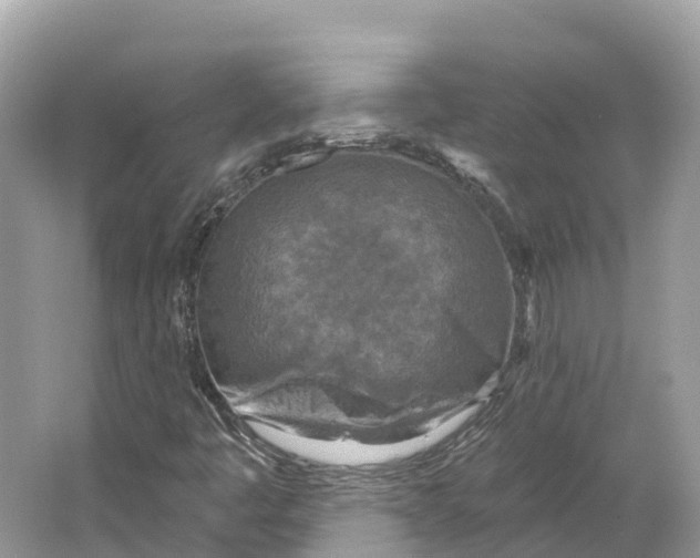 X0000064761445200602241856