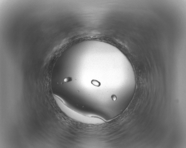 X0000064761447200602241856
