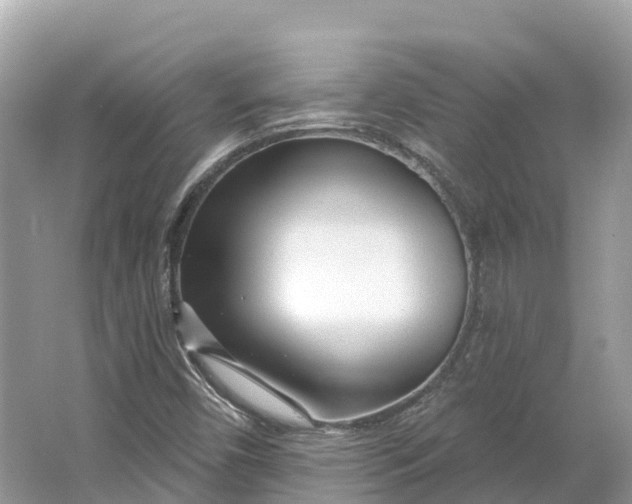 X0000064761450200602241856