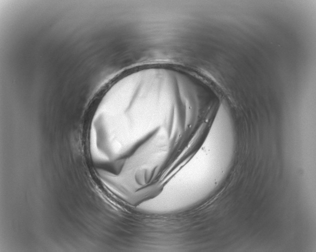 X0000064761452200602241856