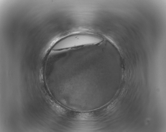 X0000064761455200602241856