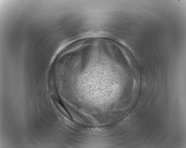 X0000064761459200602241856
