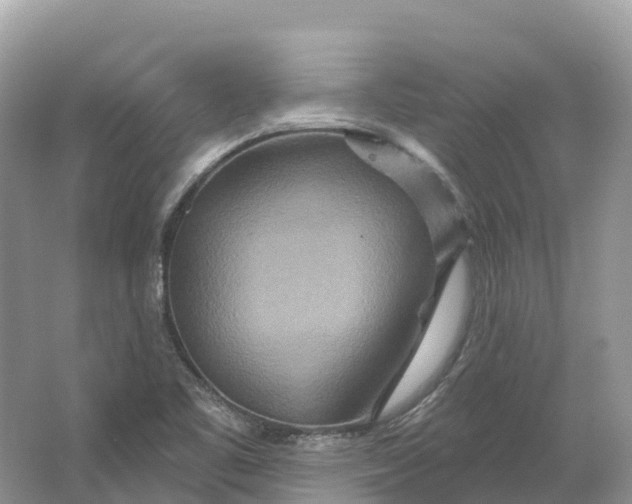 X0000064761461200602241856