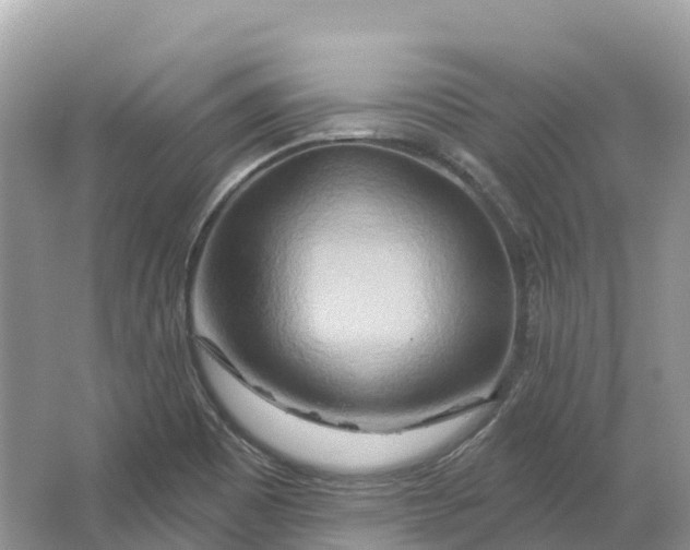 X0000064761465200602241856