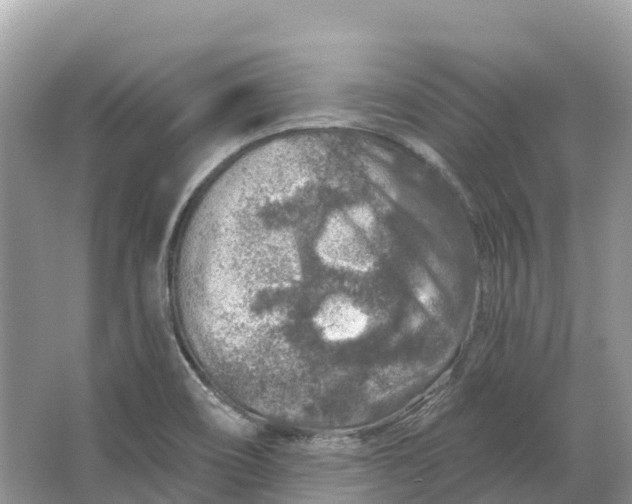 X0000064761466200602241856