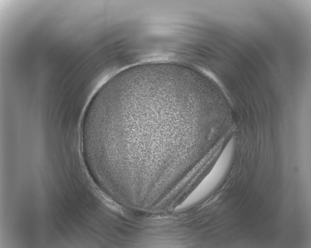 X0000064761467200602241856