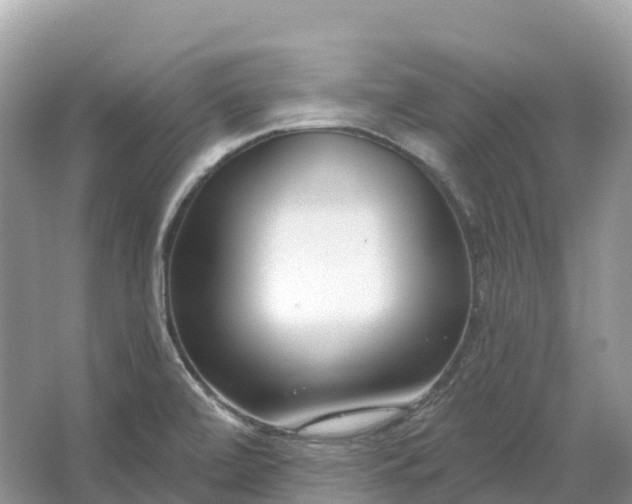 X0000064761472200602241856