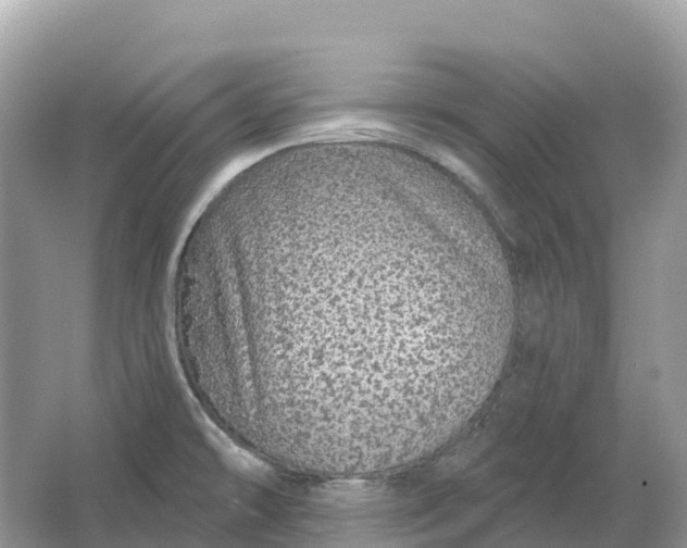 X0000064761478200602241855