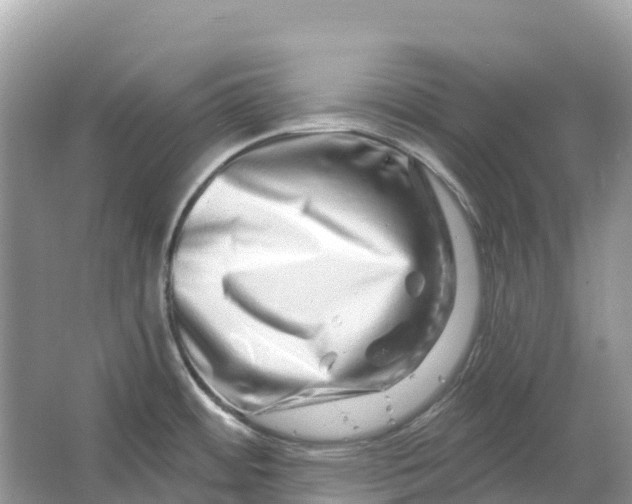 X0000064761484200602241855