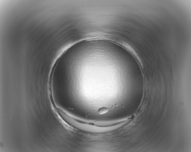 X0000064761485200602241855