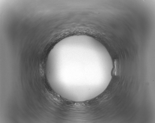 X0000064761491200602241854