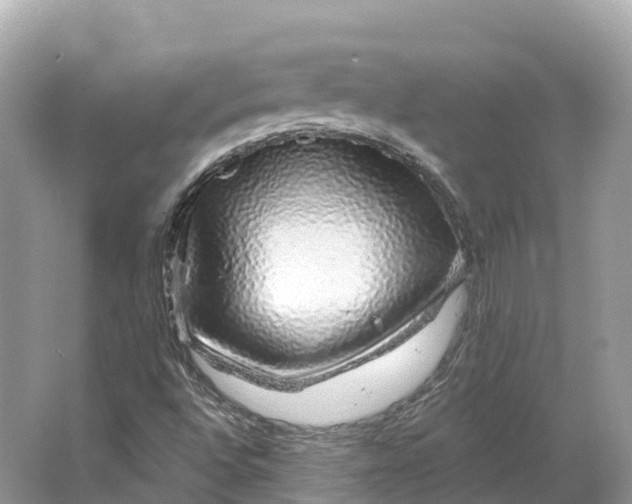 X0000064761496200602241854