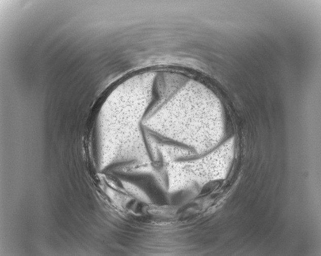 X0000064761497200602241854