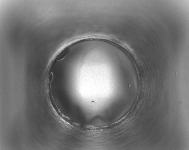X0000064761504200602241854