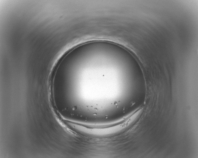 X0000064761511200602241855