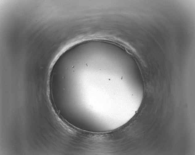 X0000064761512200602241855