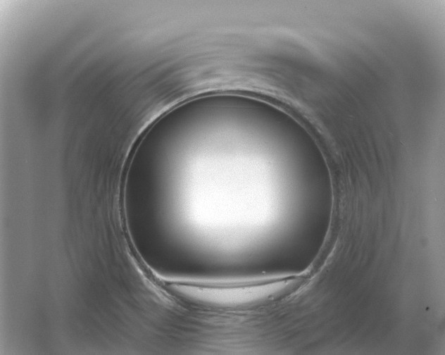 X0000064761513200602241855