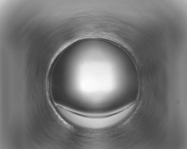 X0000064761517200602241855