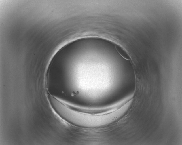 X0000064761527200602241855