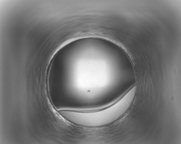 X0000064761534200602241855