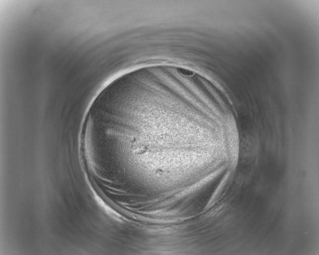 X0000064761535200602241855