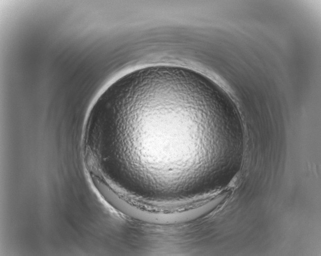 X0000064761536200602241855