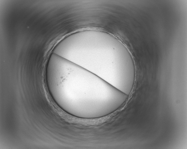 X0000064760001200603031811
