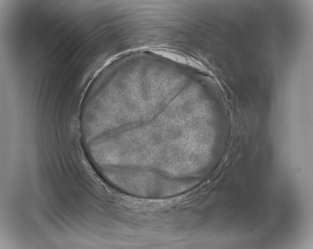 X0000064760002200603031811