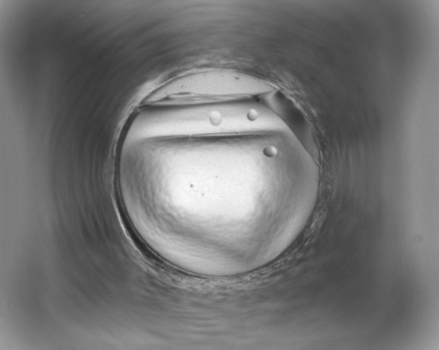 X0000064760003200603031811