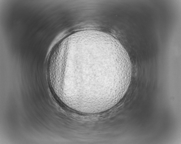 X0000064760004200603031811