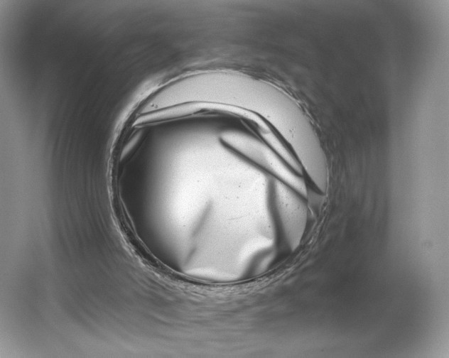 X0000064760006200603031811
