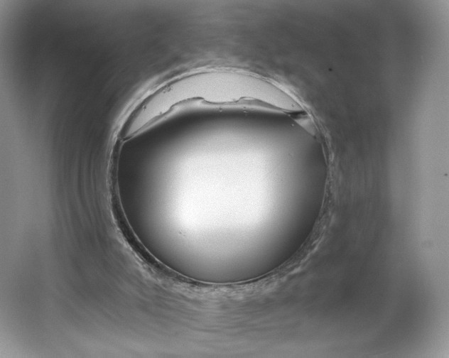 X0000064760007200603031811