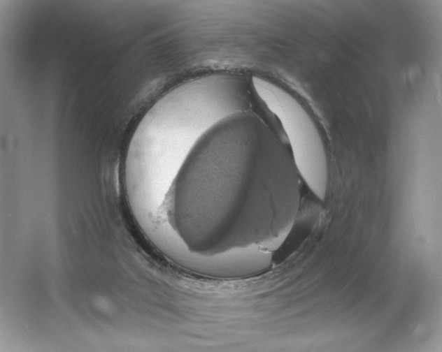 X0000064760019200603031811
