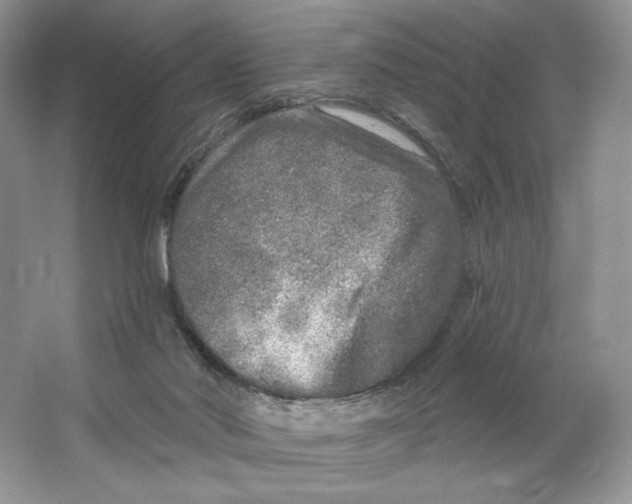 X0000064760022200603031811