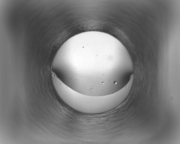 X0000064760025200603031811