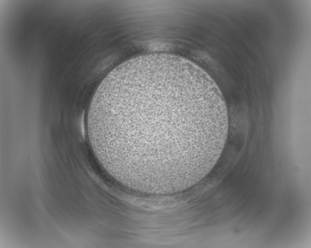 X0000064760028200603031811