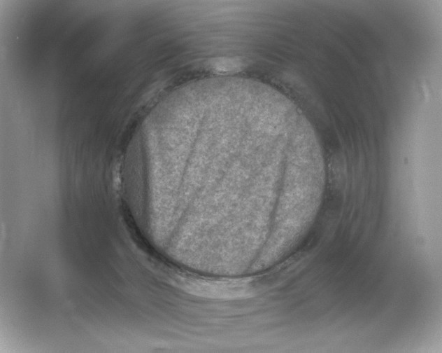 X0000064760032200603031811