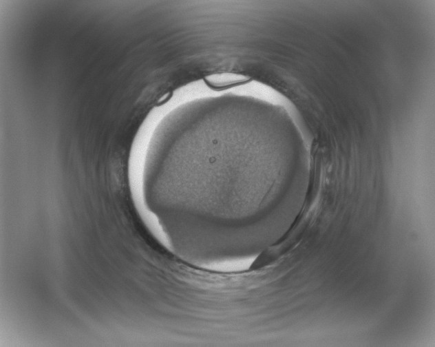 X0000064760035200603031811