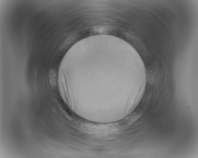 X0000064760036200603031811