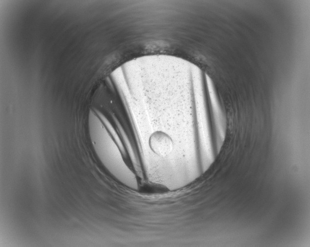 X0000064760038200603031811