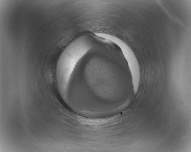 X0000064760039200603031811