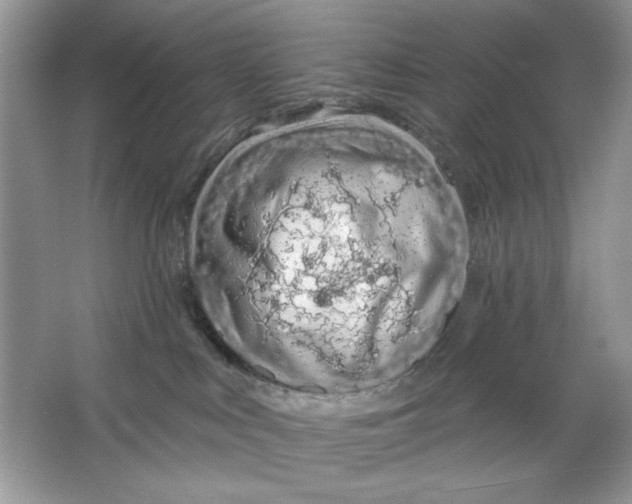 X0000064760043200603031811