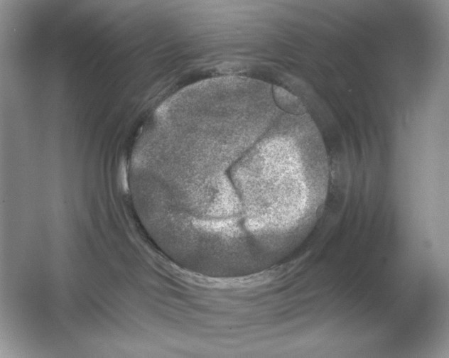 X0000064760046200603031810