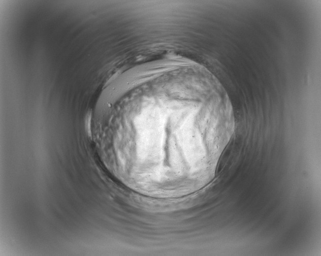 X0000064760047200603031810
