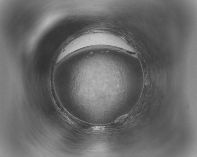 X0000064760052200603031810