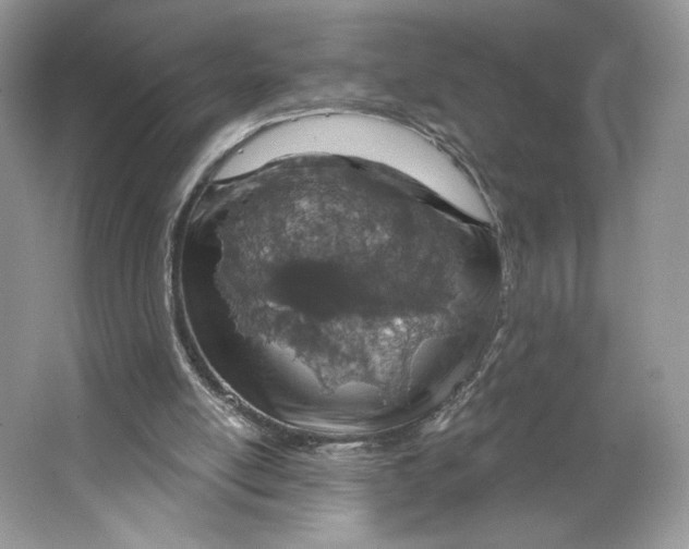 X0000064760054200603031810