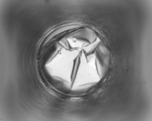 X0000064760055200603031810