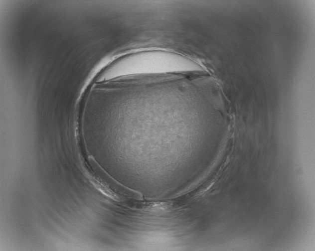 X0000064760056200603031810