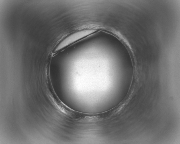 X0000064760057200603031810