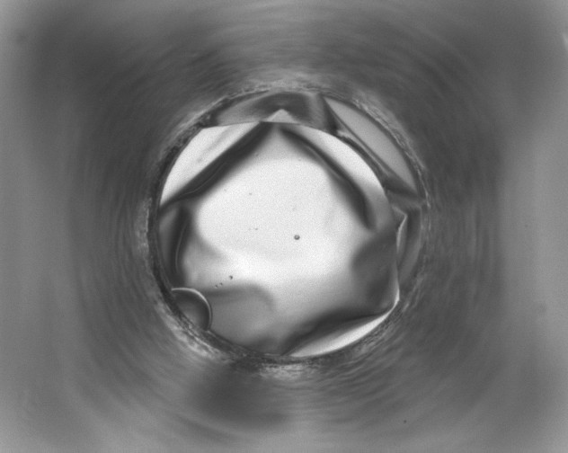 X0000064760058200603031810